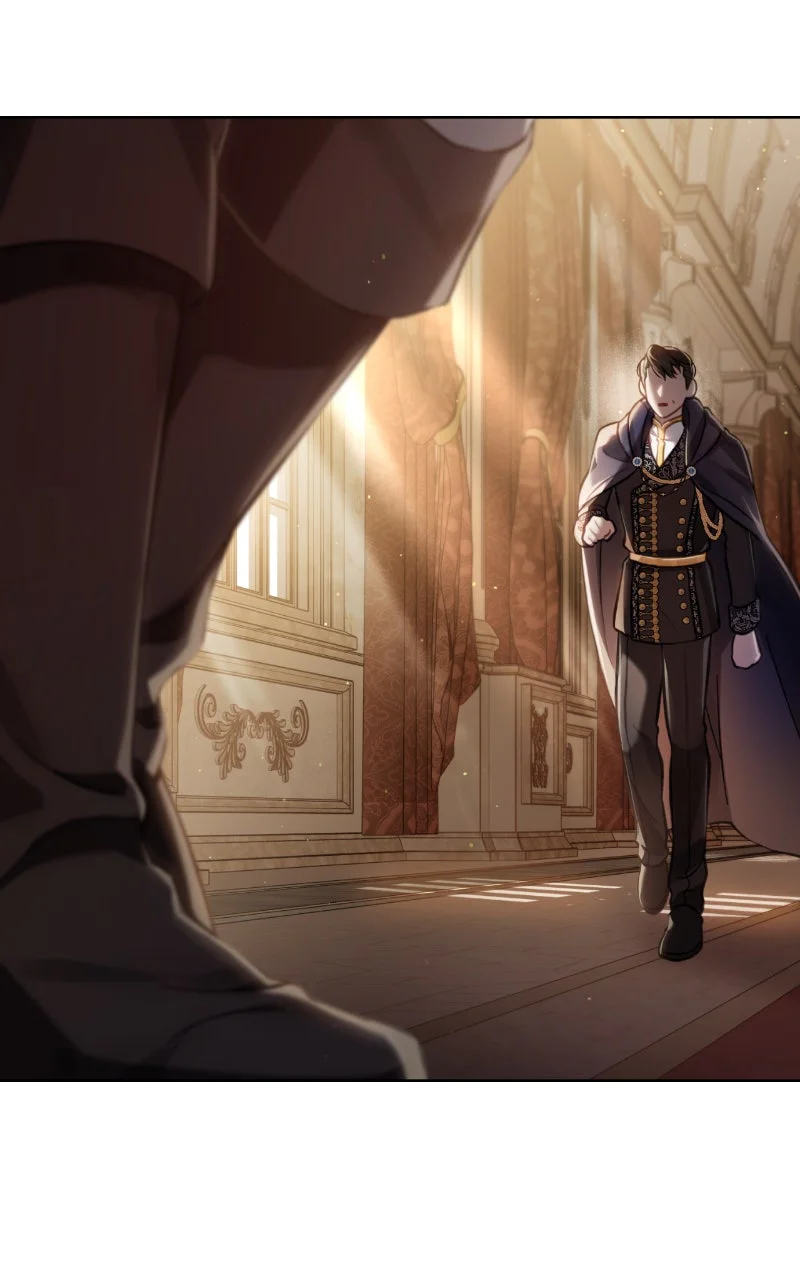 Chapter Image 482