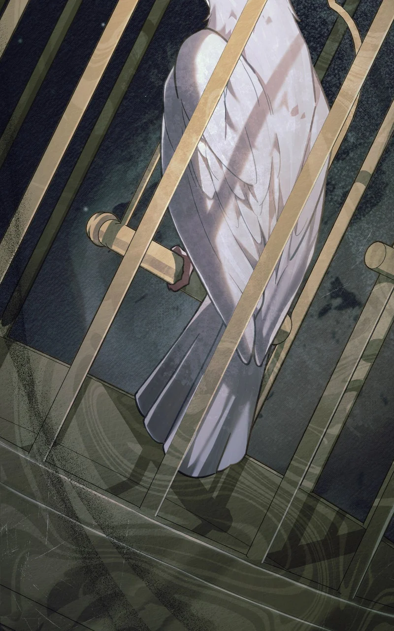 Chapter Image 334
