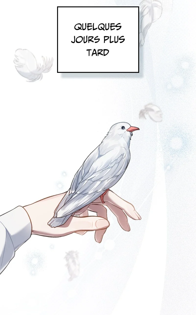 Chapter Image 815