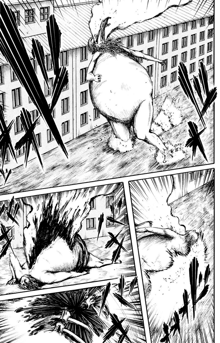Chapter Image 297