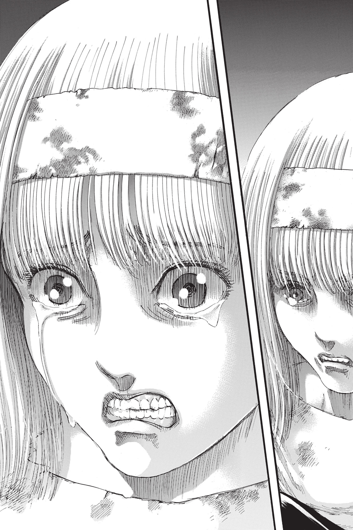 Chapter Image 334