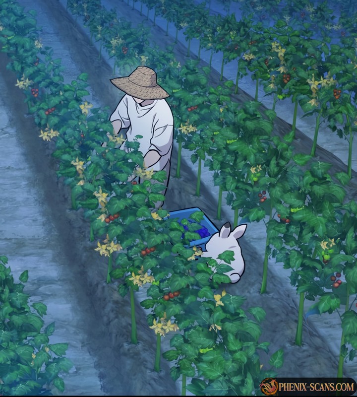 Chapter Image 778