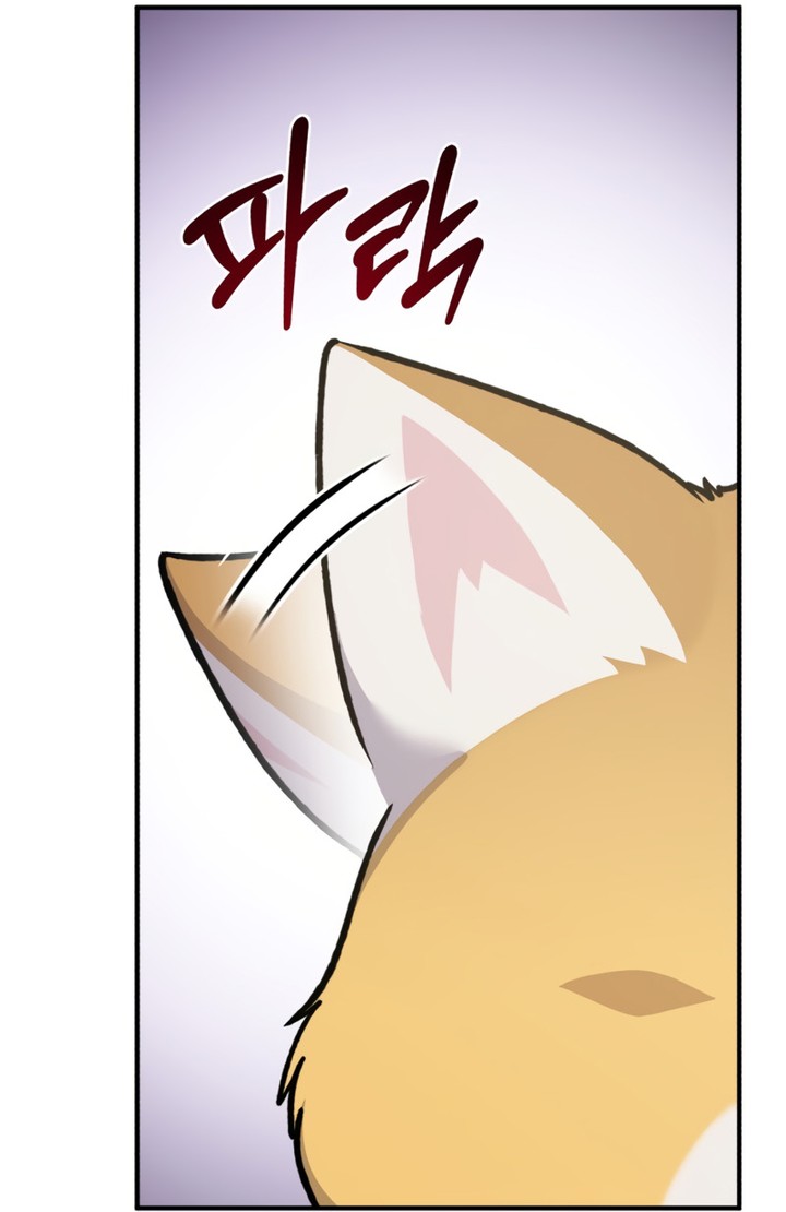 Chapter Image 852