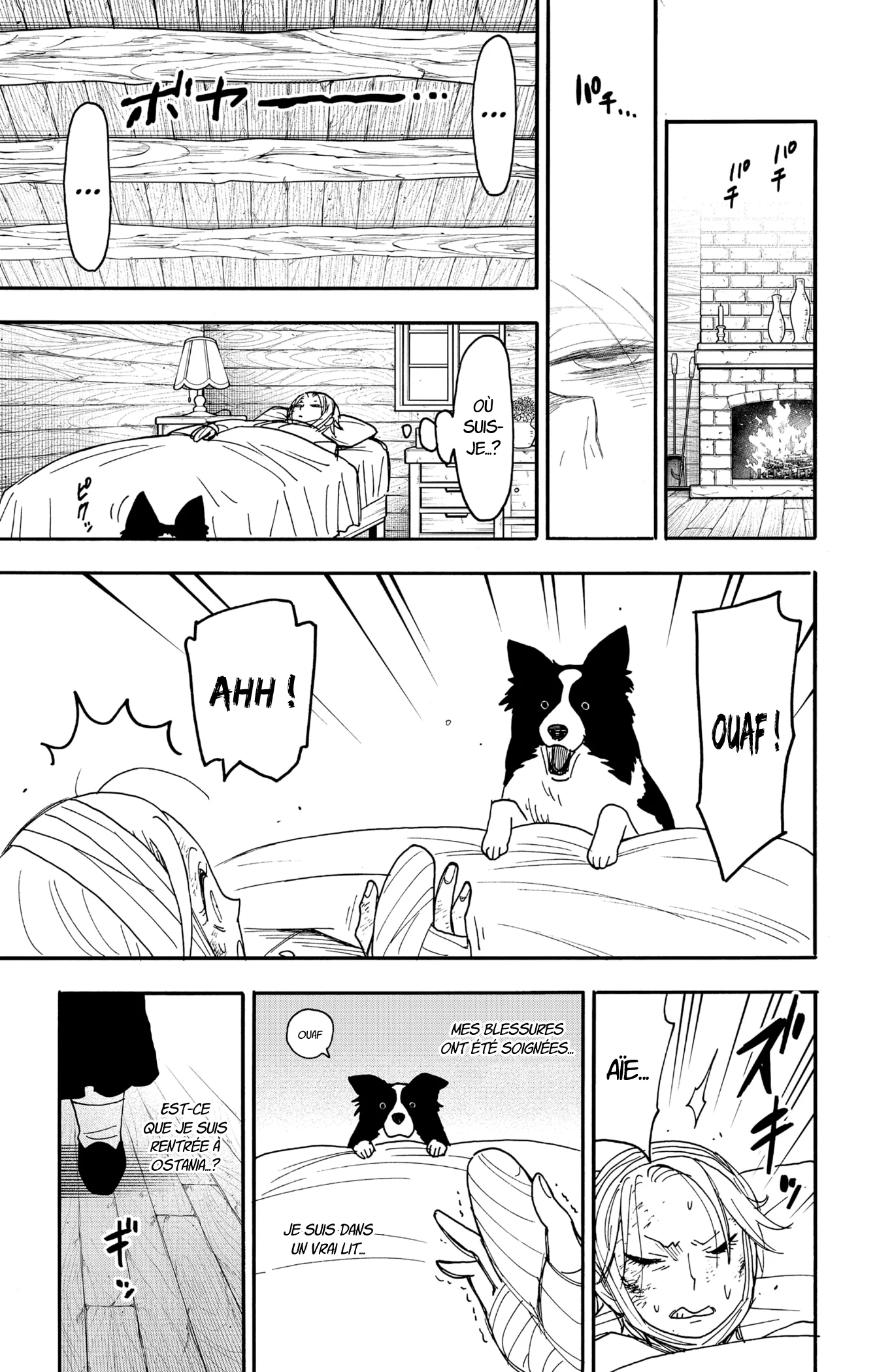 Chapter Image 260