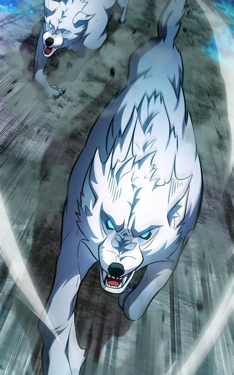 Chapter Image 778
