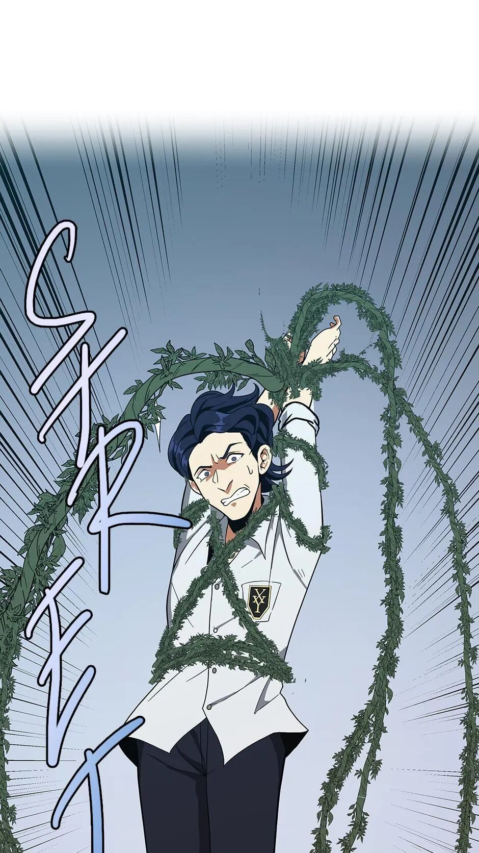 Chapter Image 1