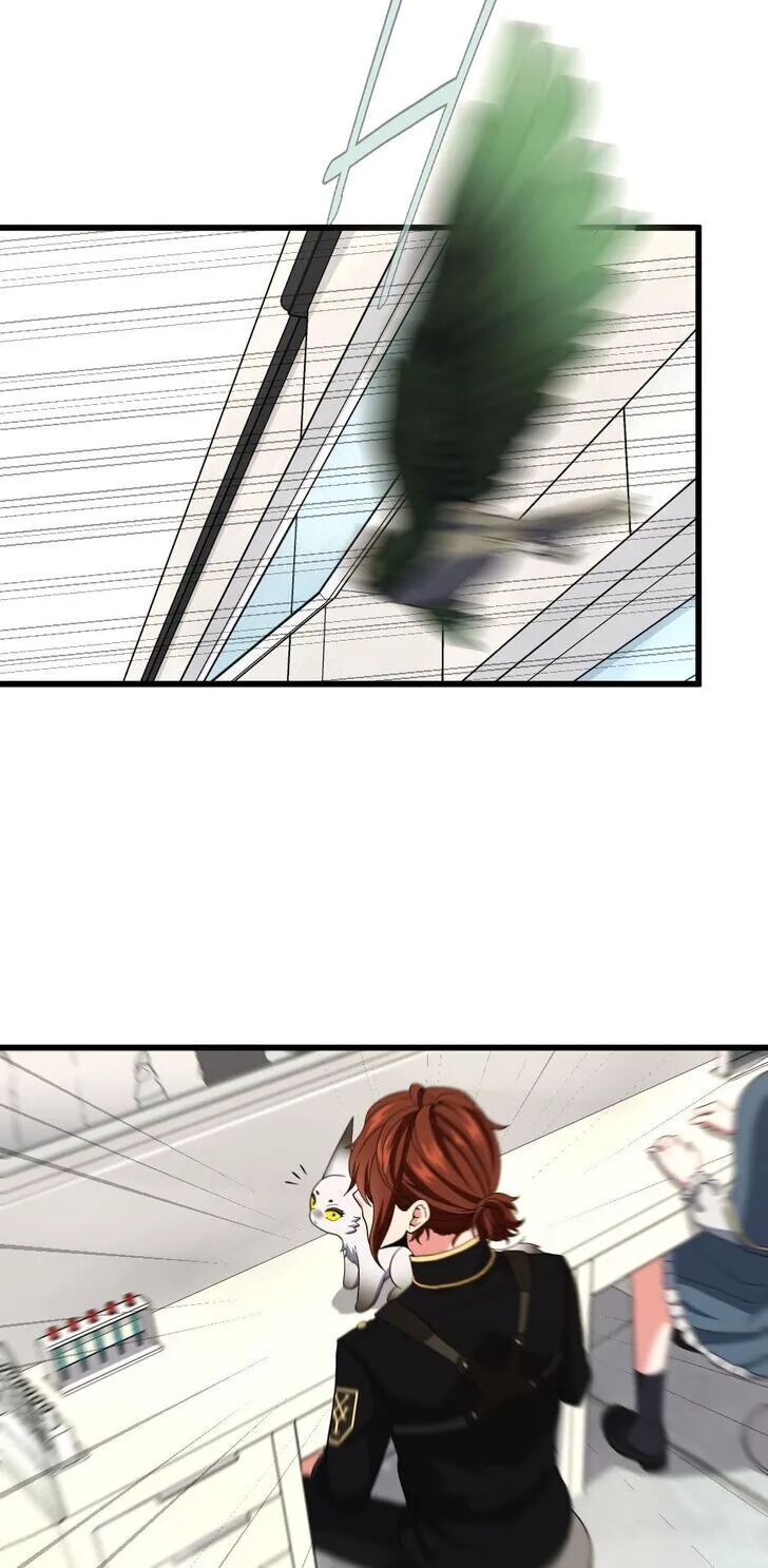 Chapter Image 593