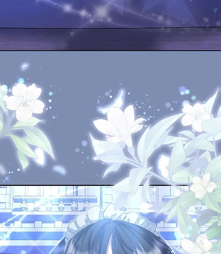 Chapter Image 778