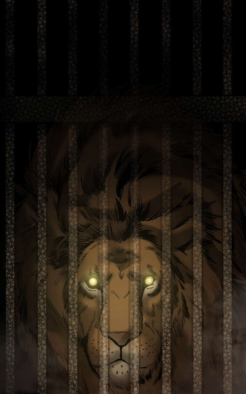 Chapter Image 334