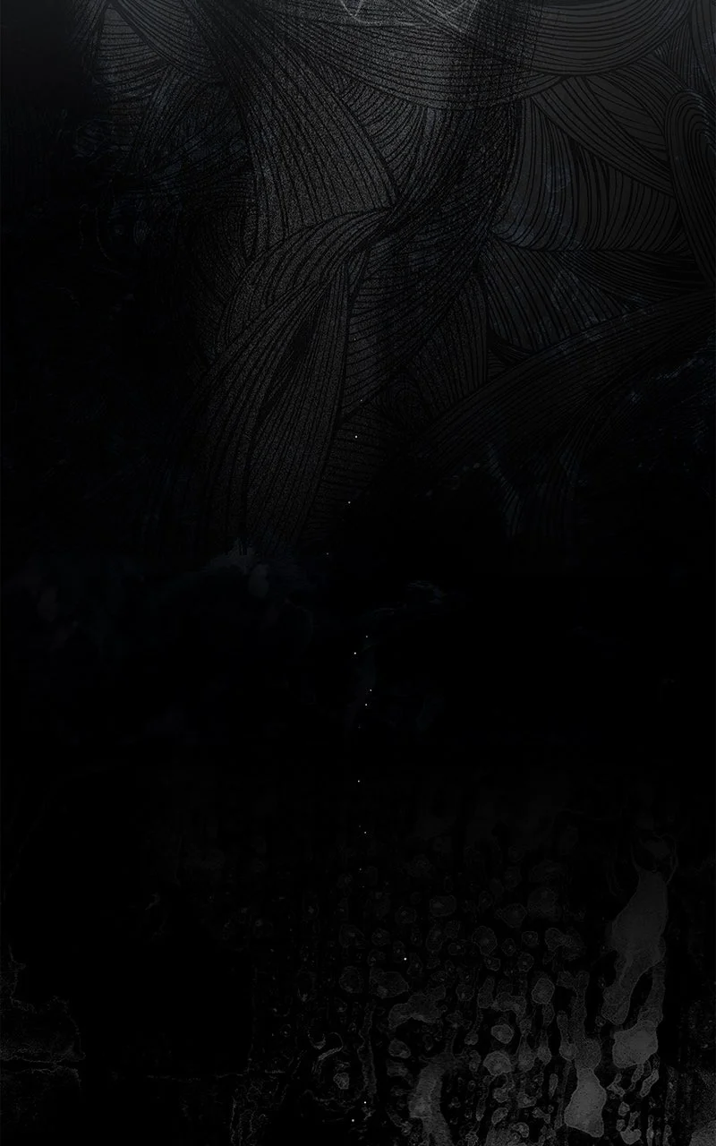 Chapter Image 815