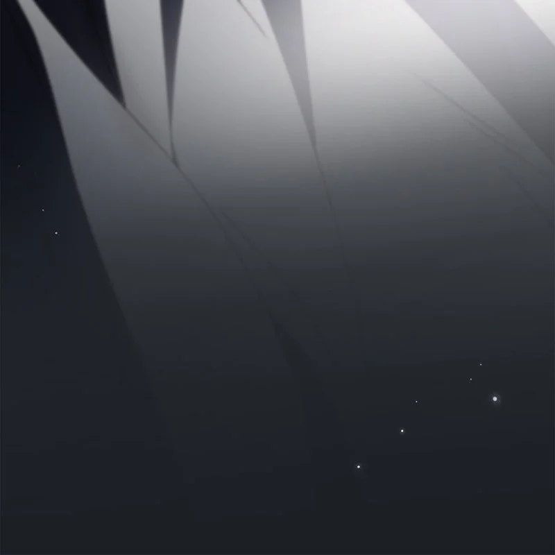 Chapter Image 297