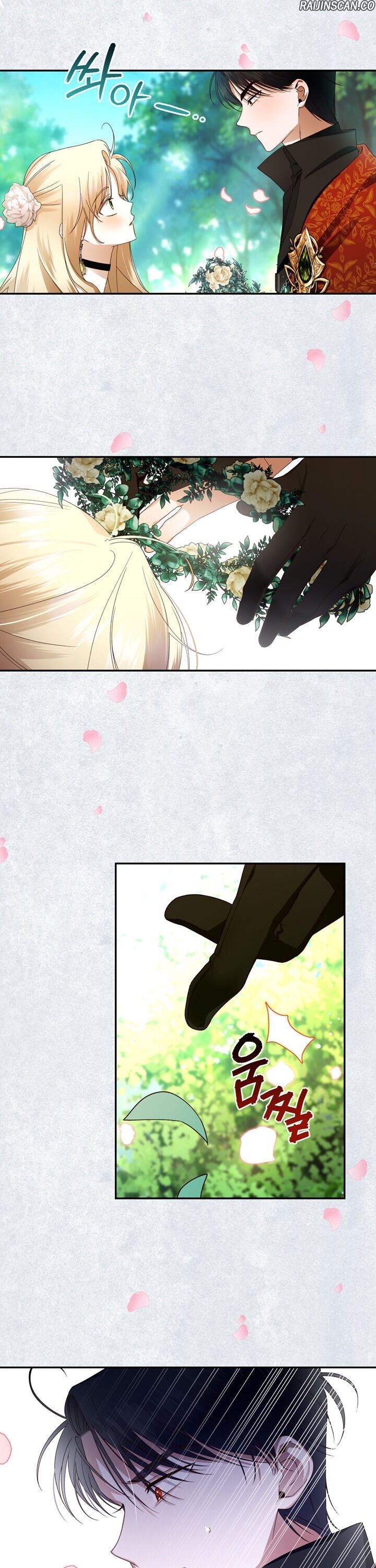 Chapter Image 556