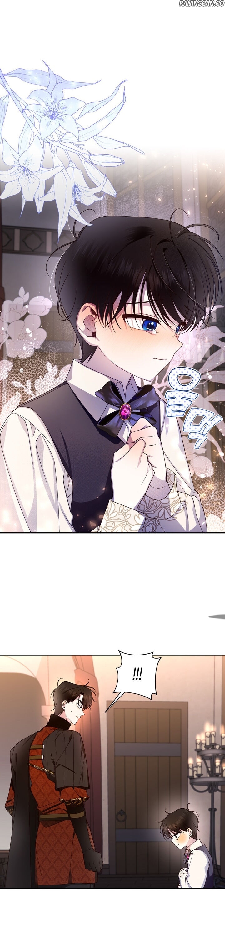 Chapter Image 482