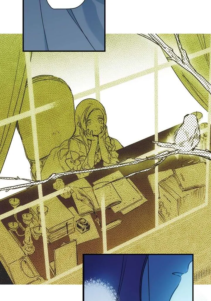 Chapter Image 260
