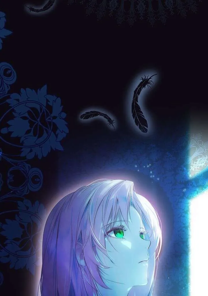 Chapter Image 704