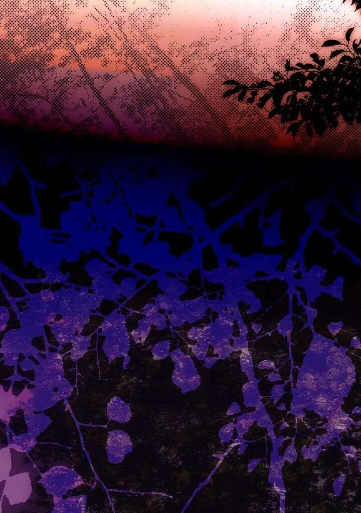 Chapter Image 371