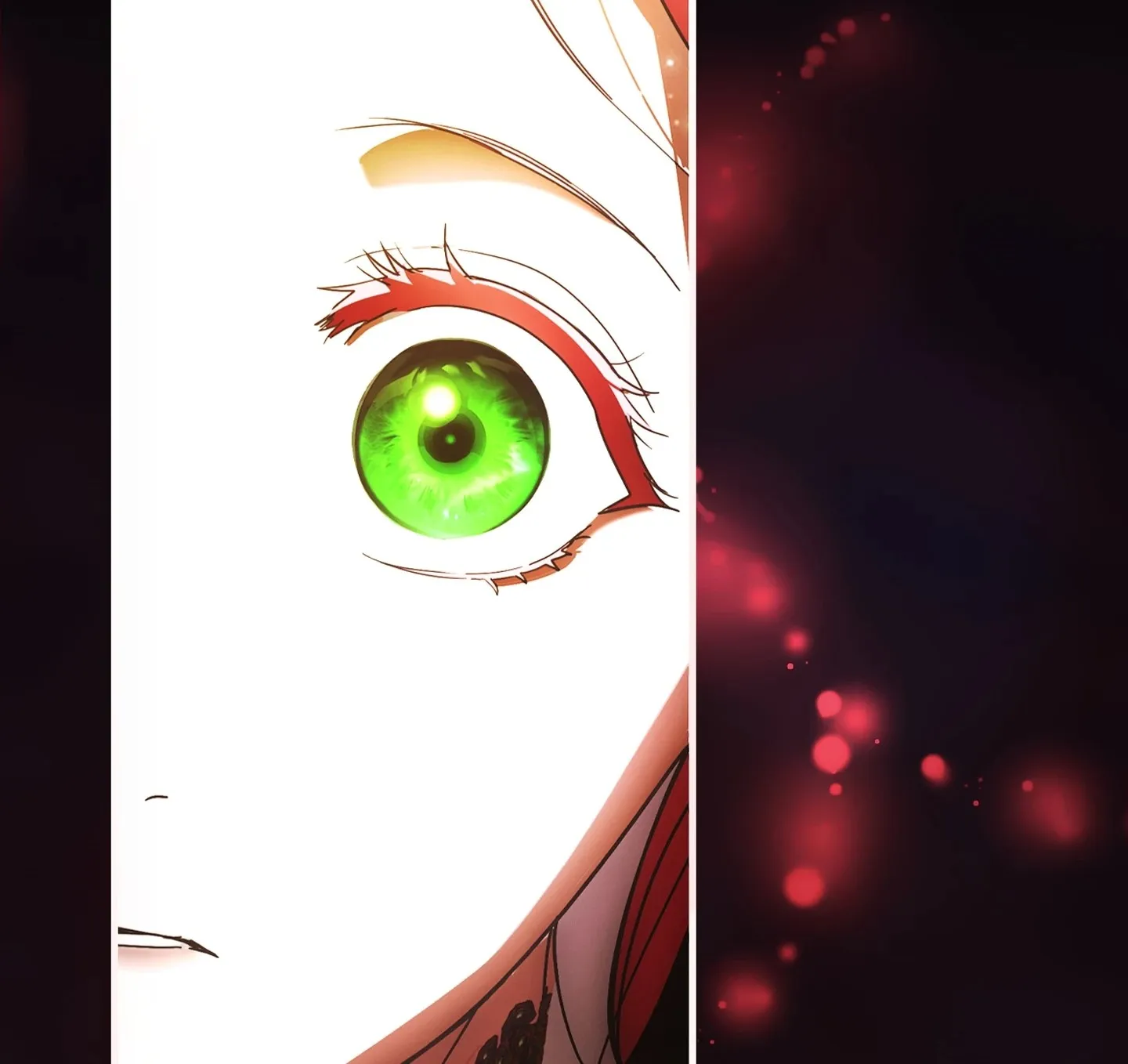 Chapter Image 482