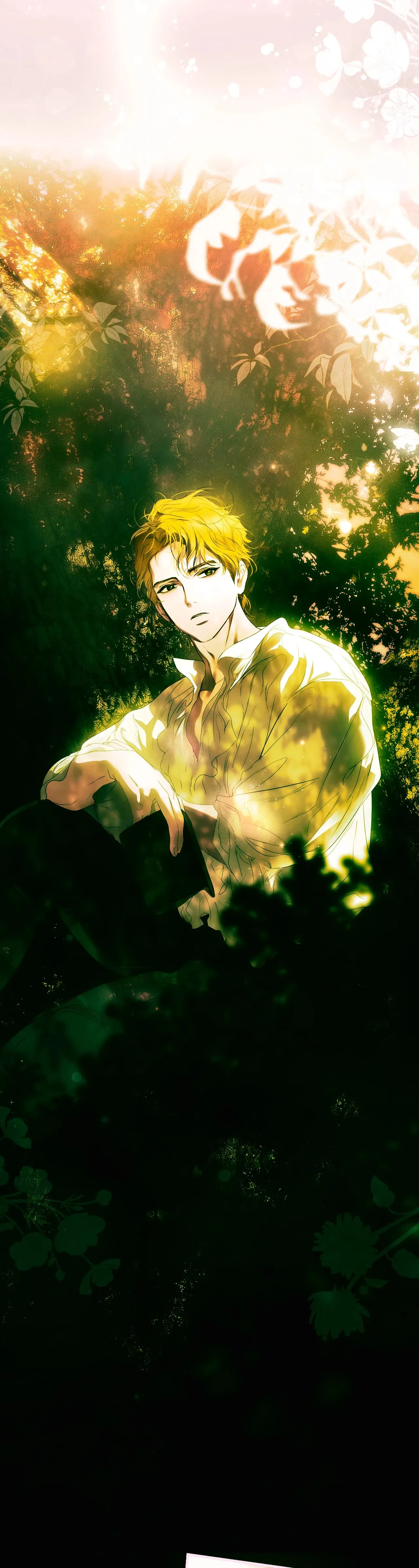 Chapter Image 667