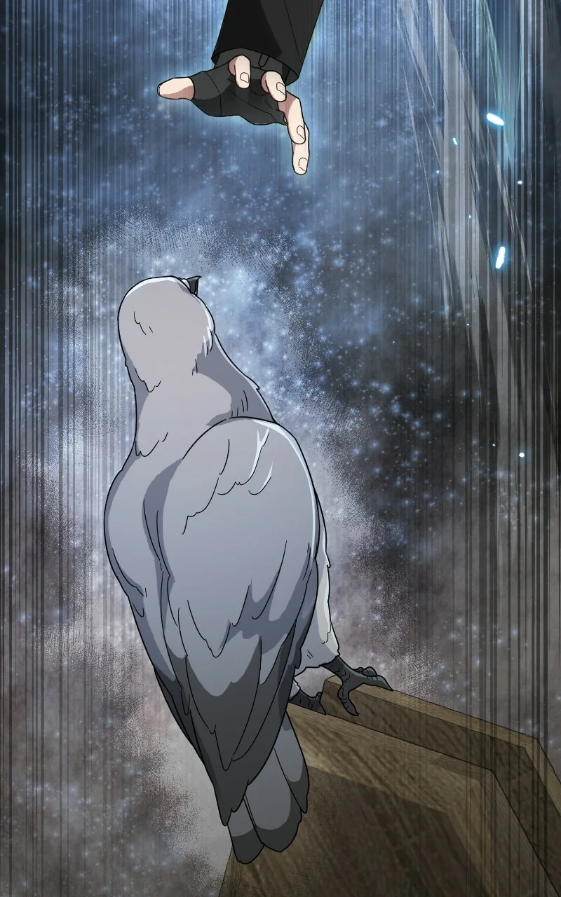 Chapter Image 334