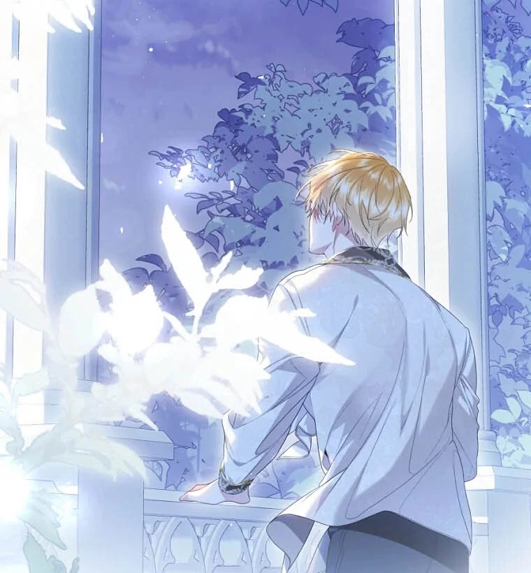 Chapter Image 667