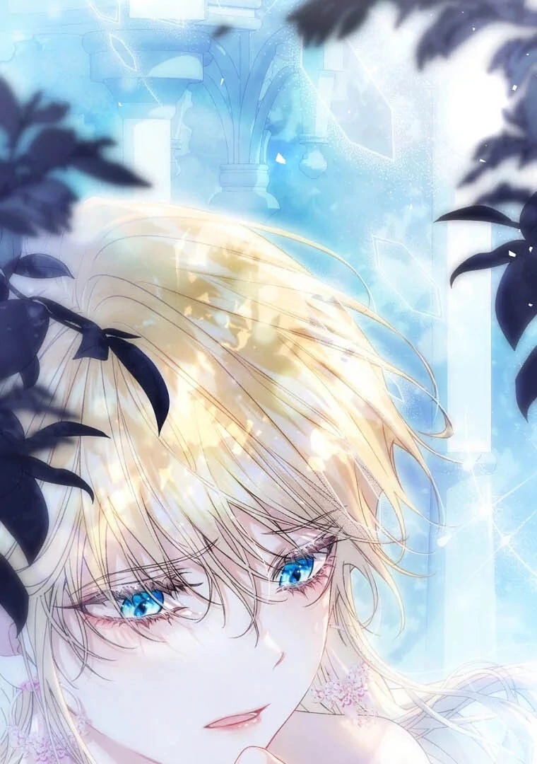 Chapter Image 741