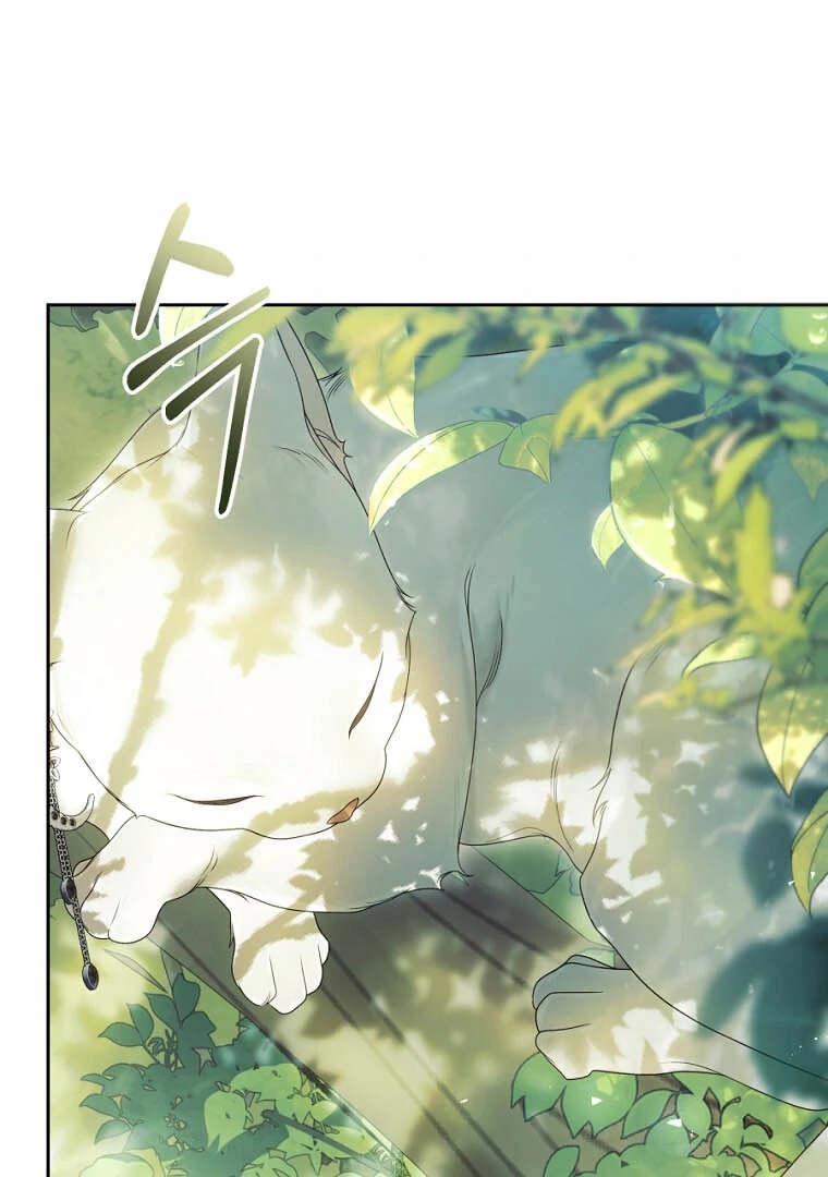 Chapter Image 75