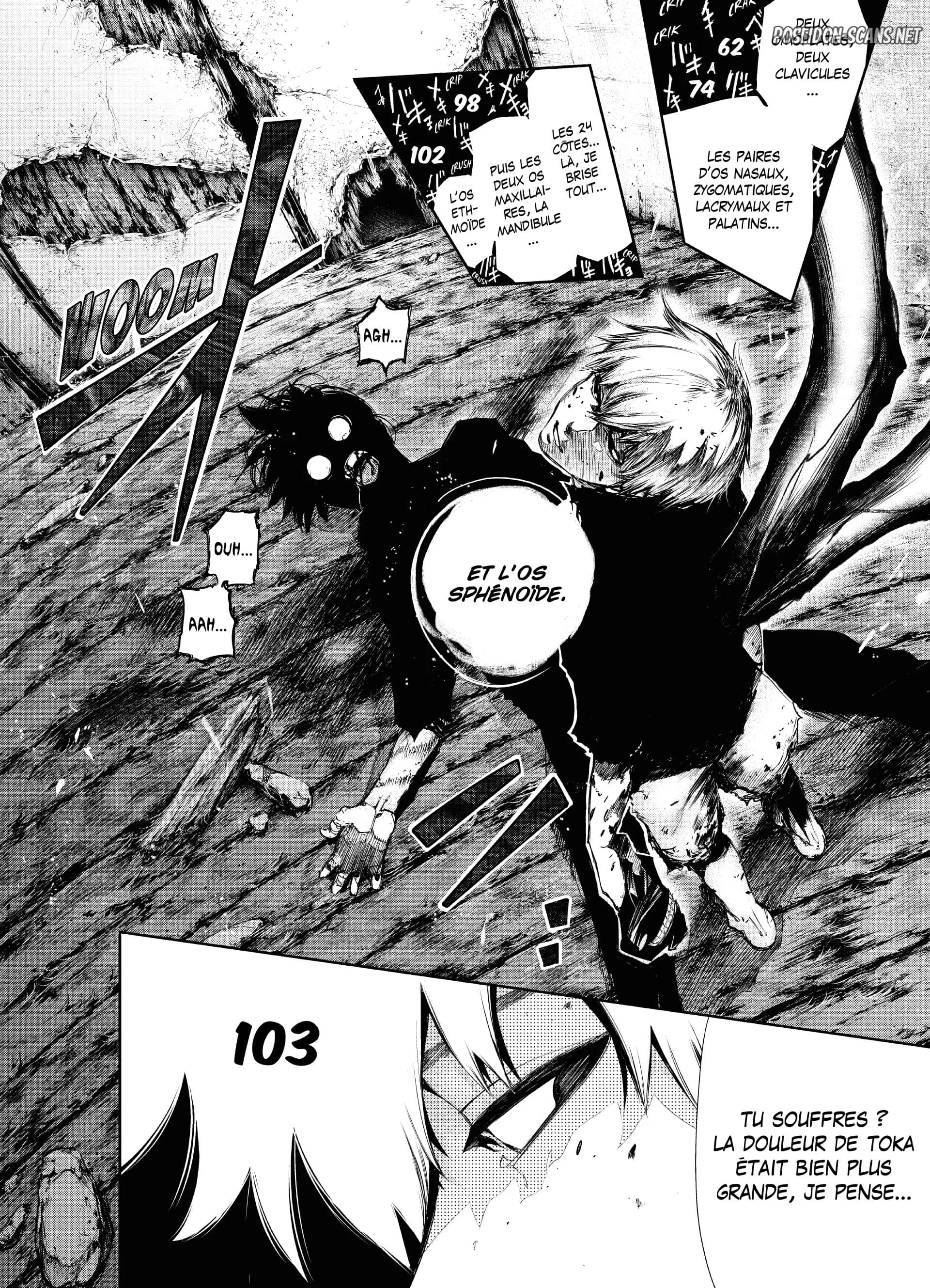 Chapter Image 556