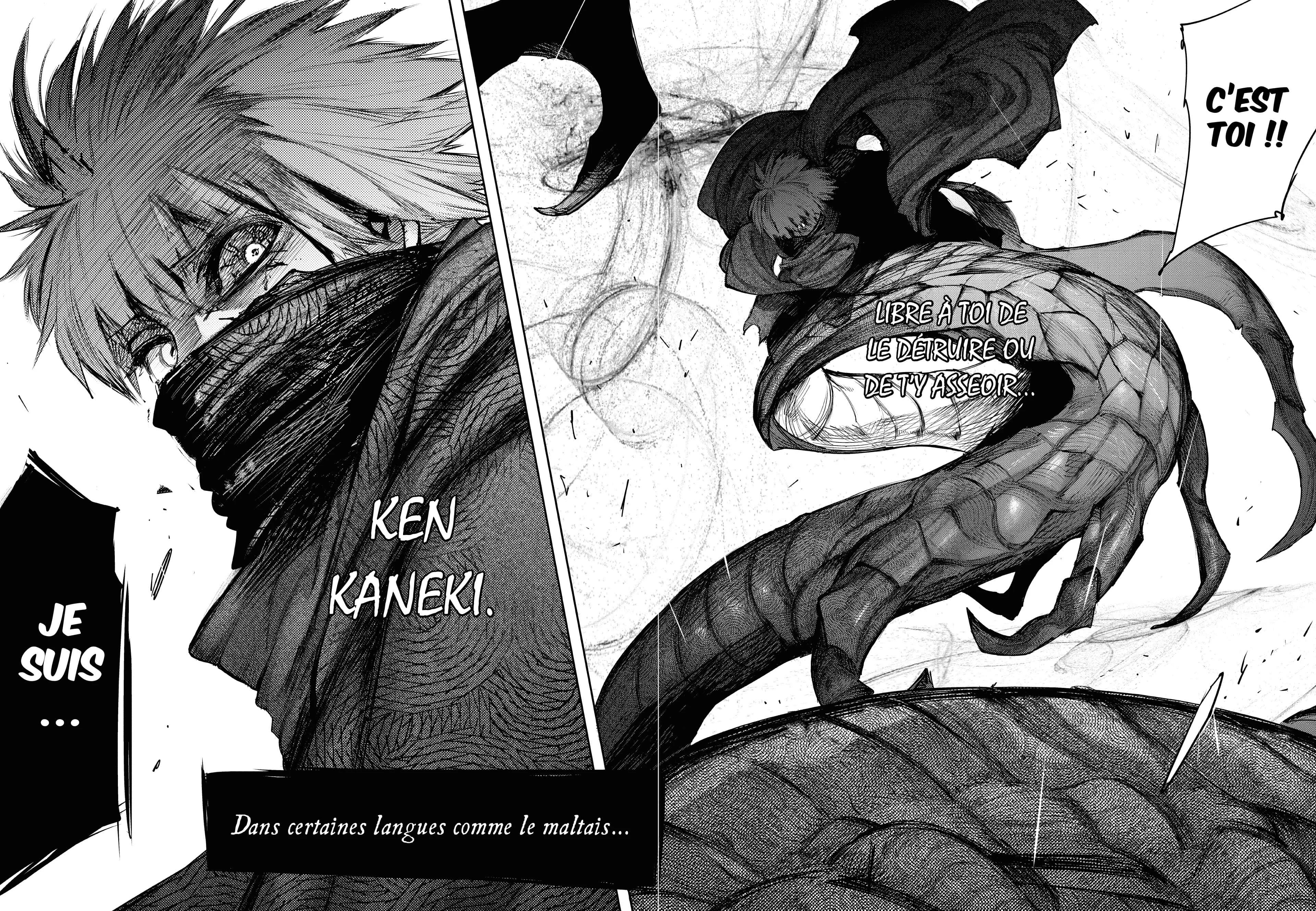 Chapter Image 186