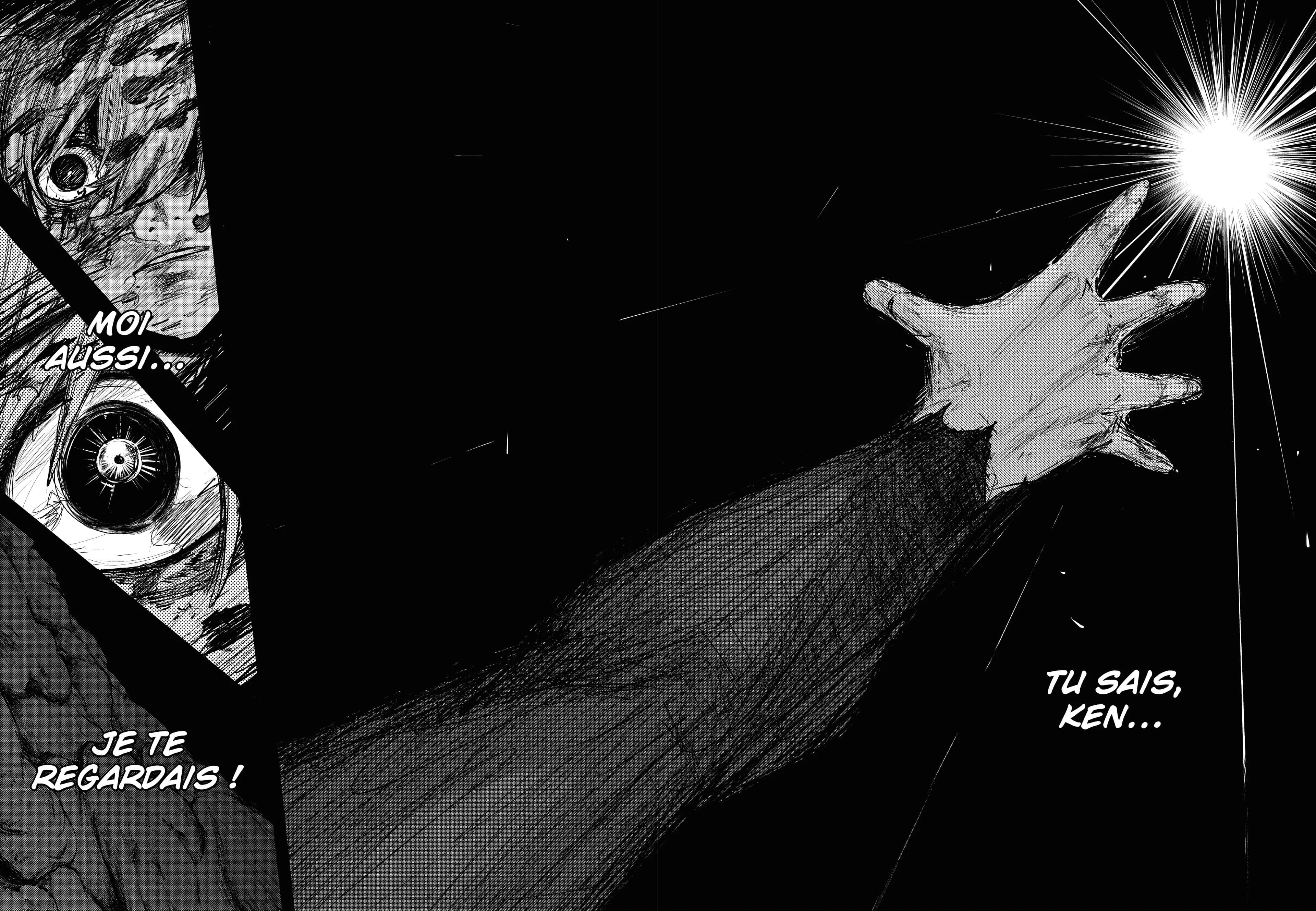 Chapter Image 260
