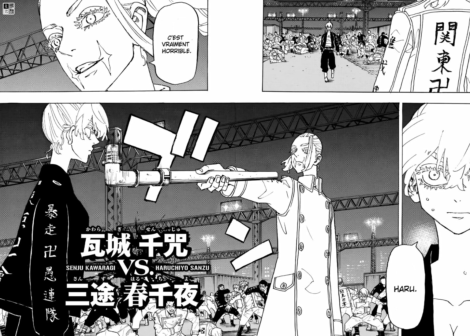 Chapter Image 260