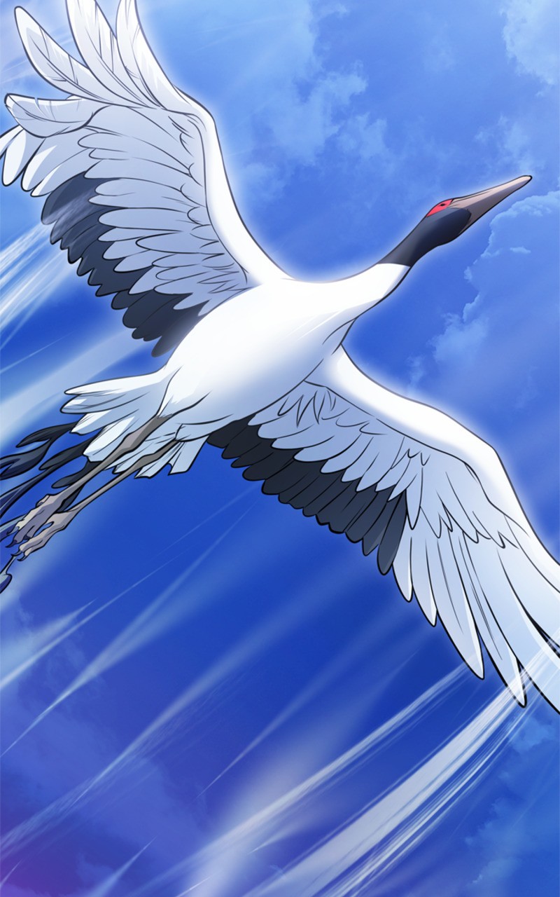 Chapter Image 1