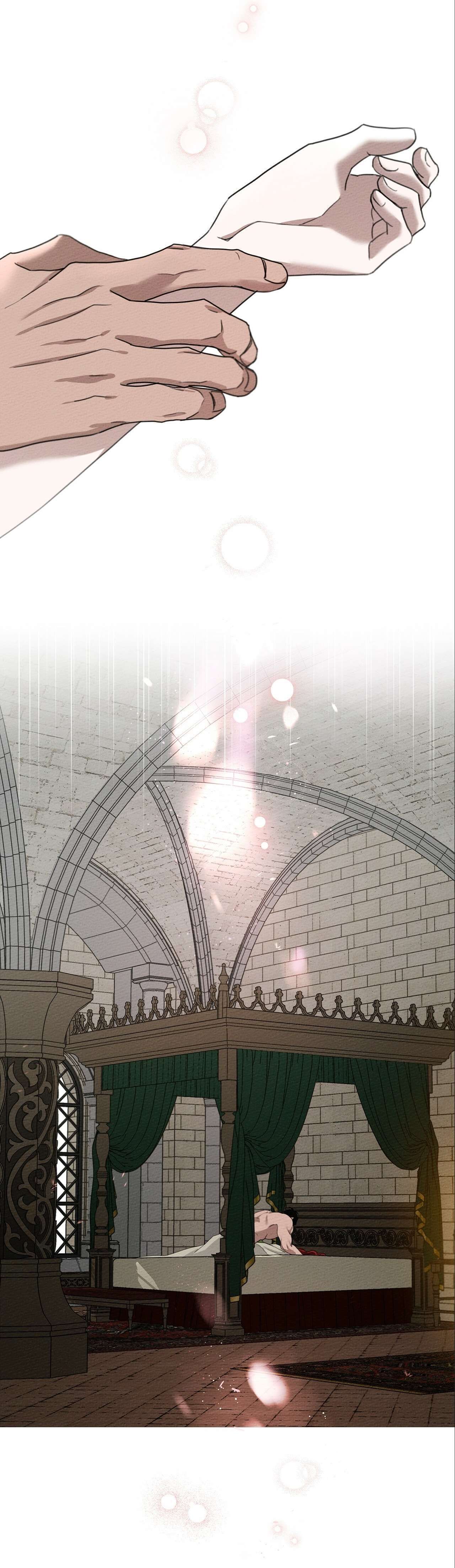 Chapter Image 334