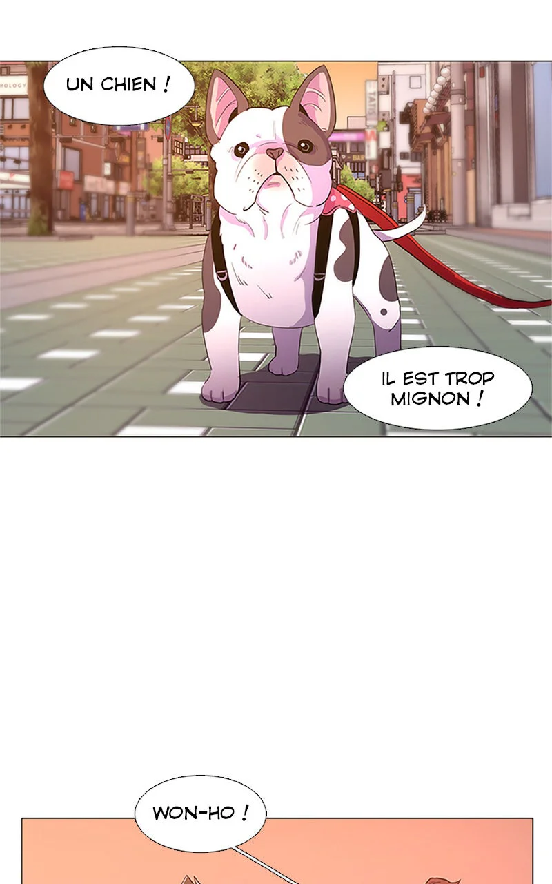 Chapter Image 260
