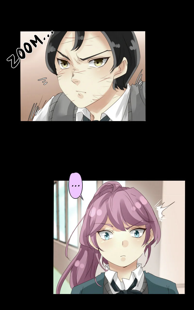 Chapter Image 1