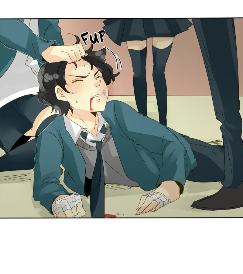 Chapter Image 1
