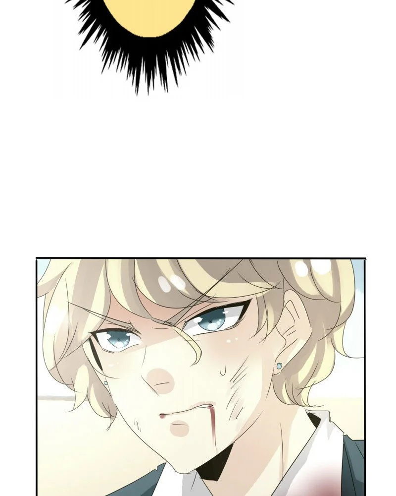 Chapter Image 1