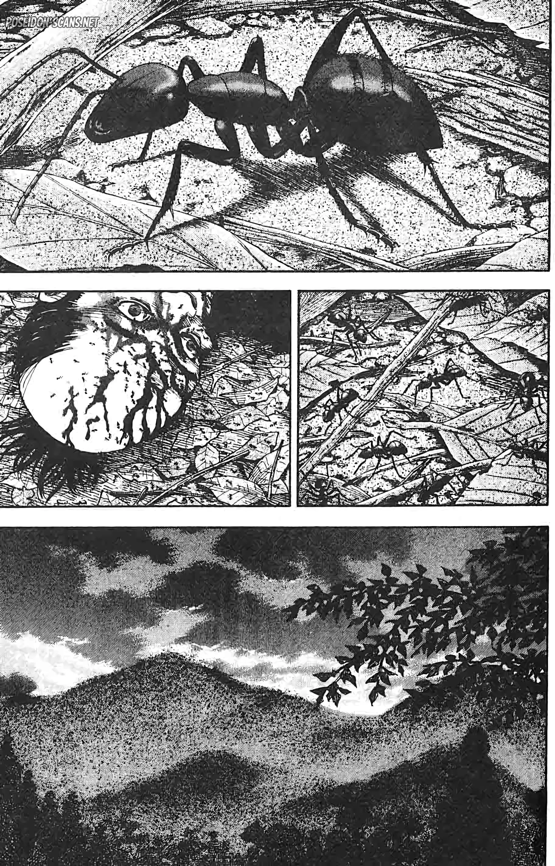 Chapter Image 334