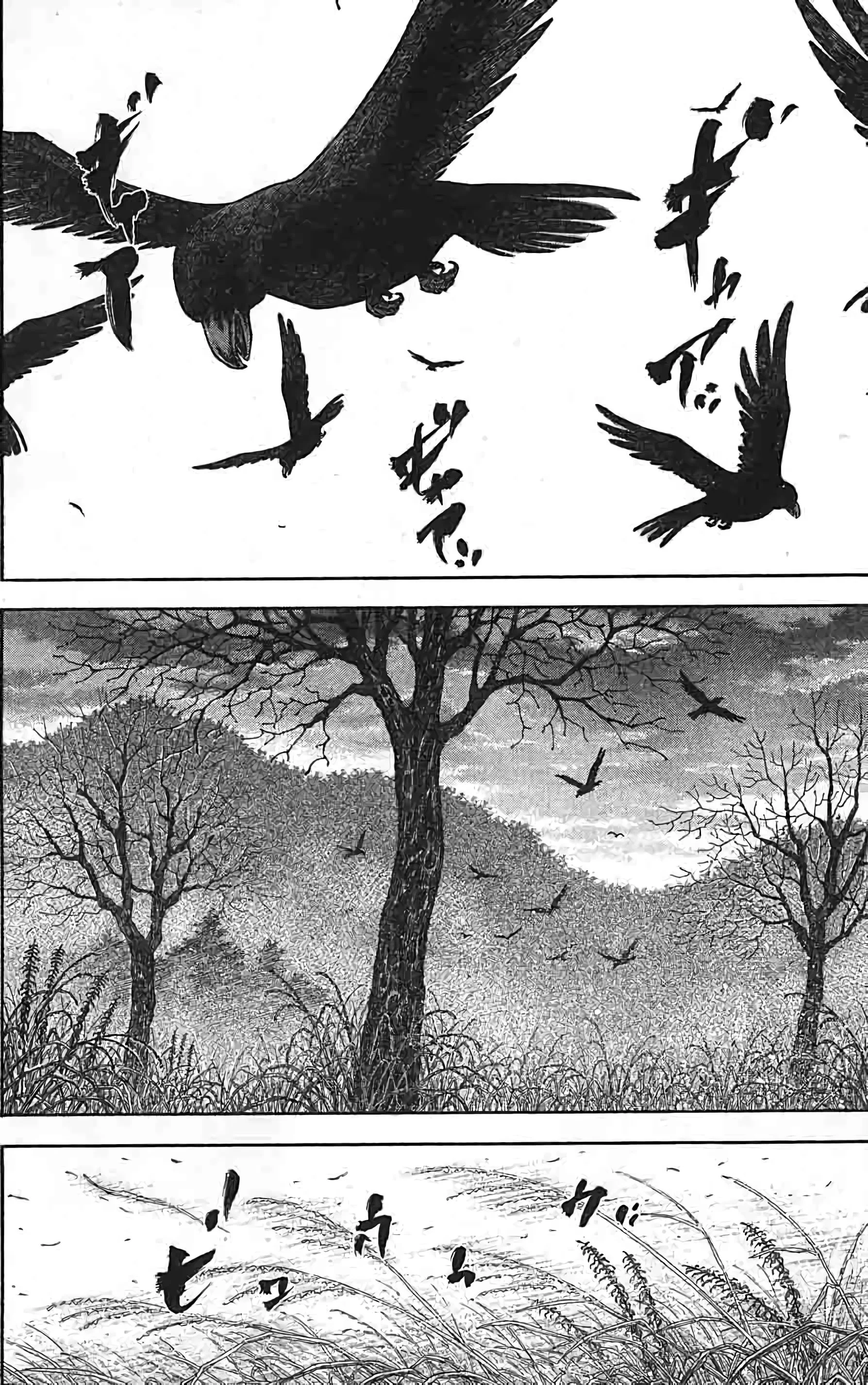 Chapter Image 260