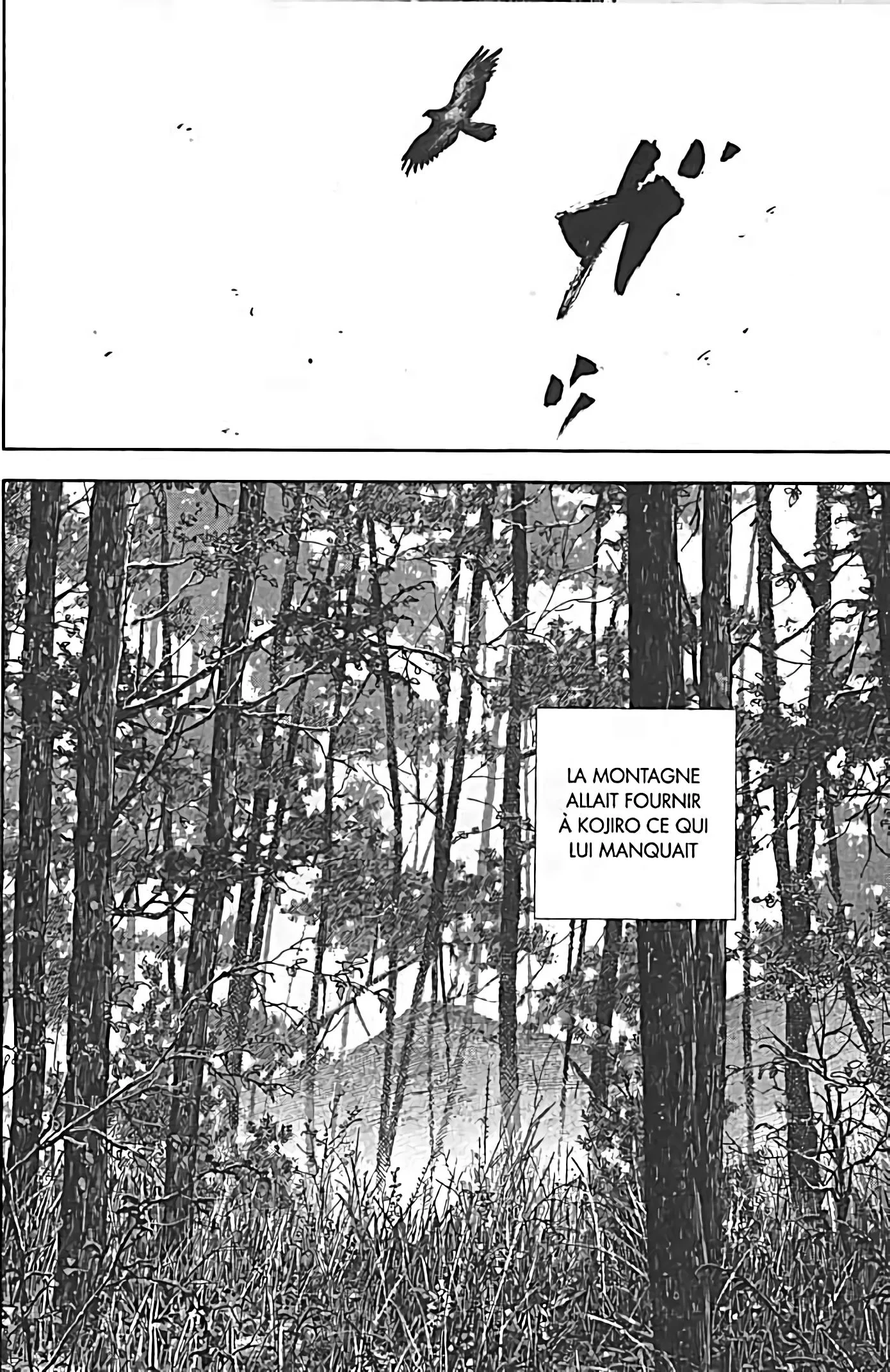 Chapter Image 741