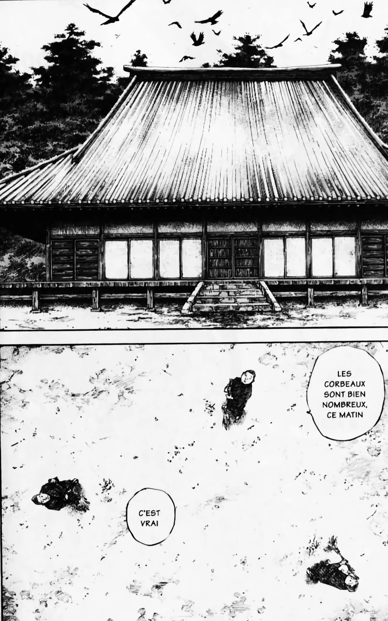Chapter Image 260