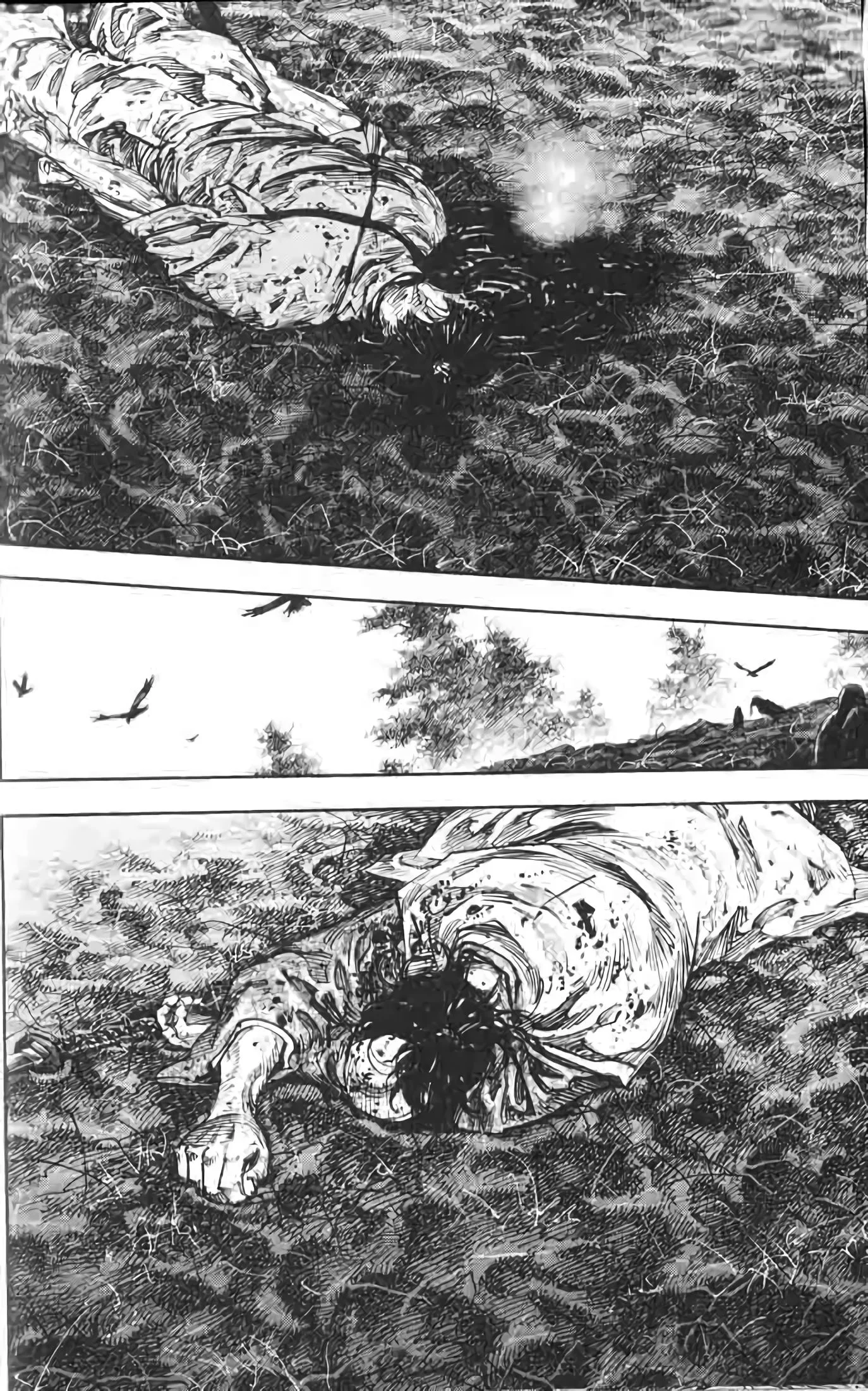 Chapter Image 260