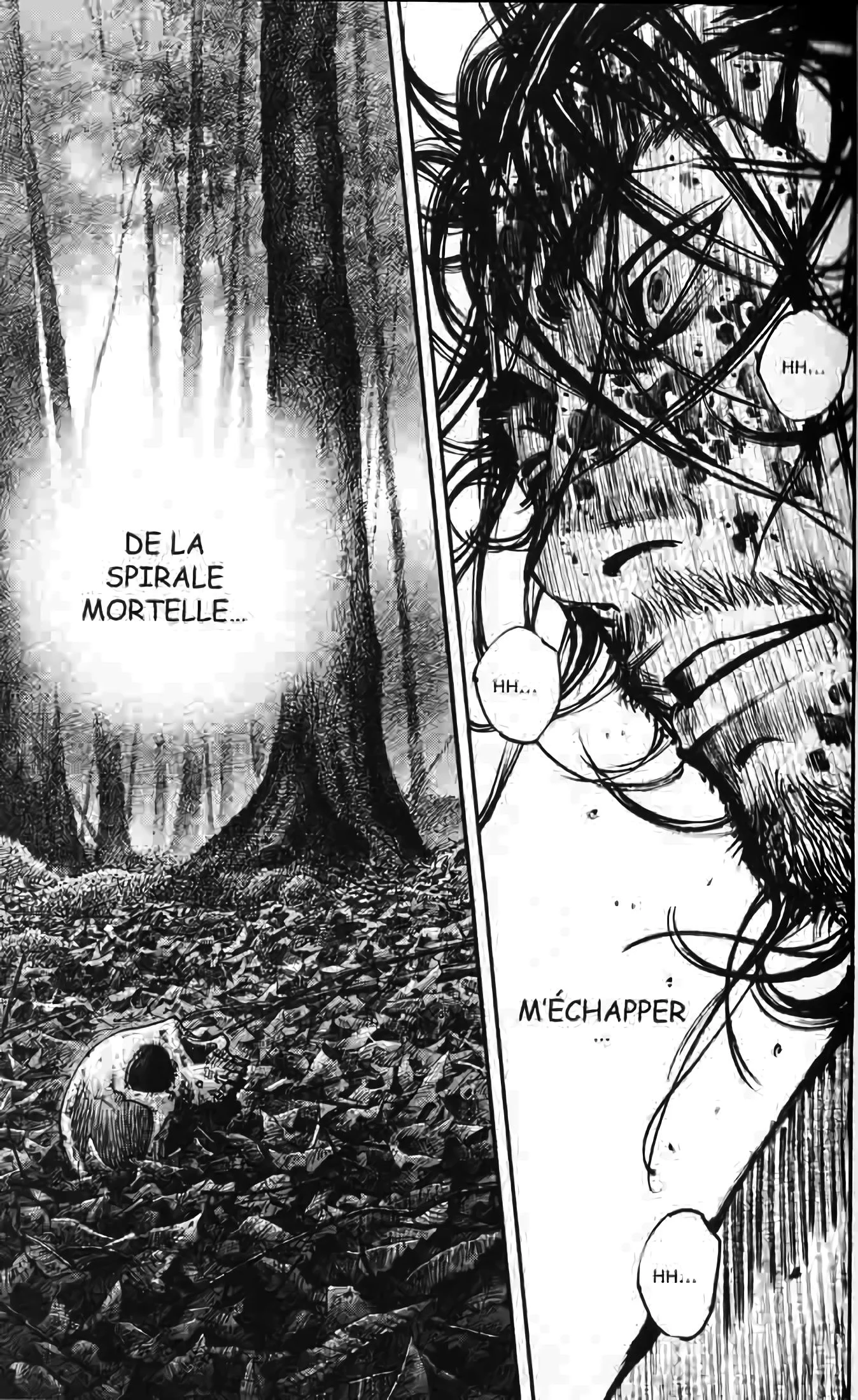 Chapter Image 741