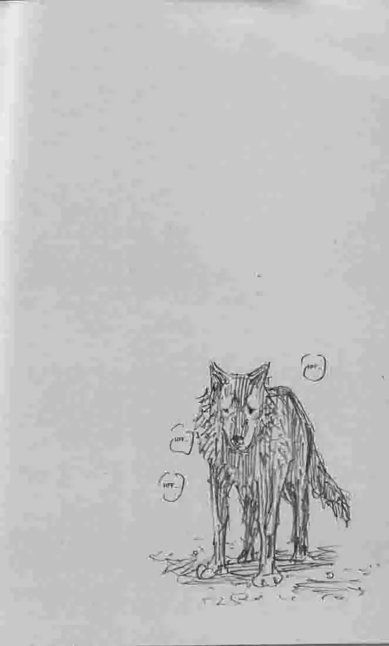 Chapter Image 260