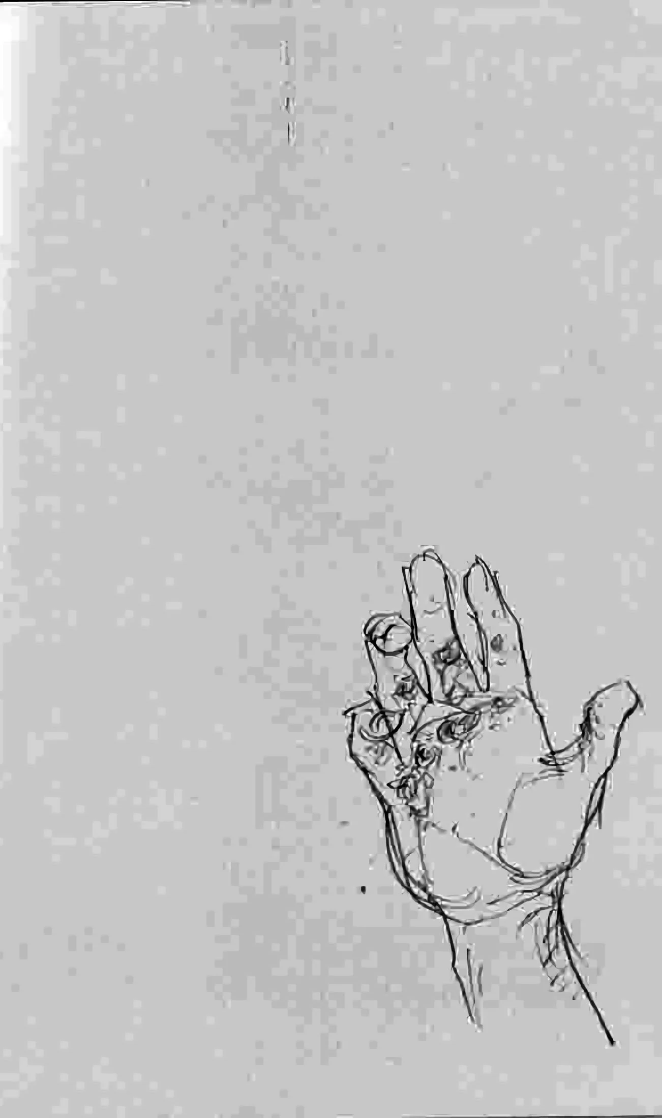 Chapter Image 519