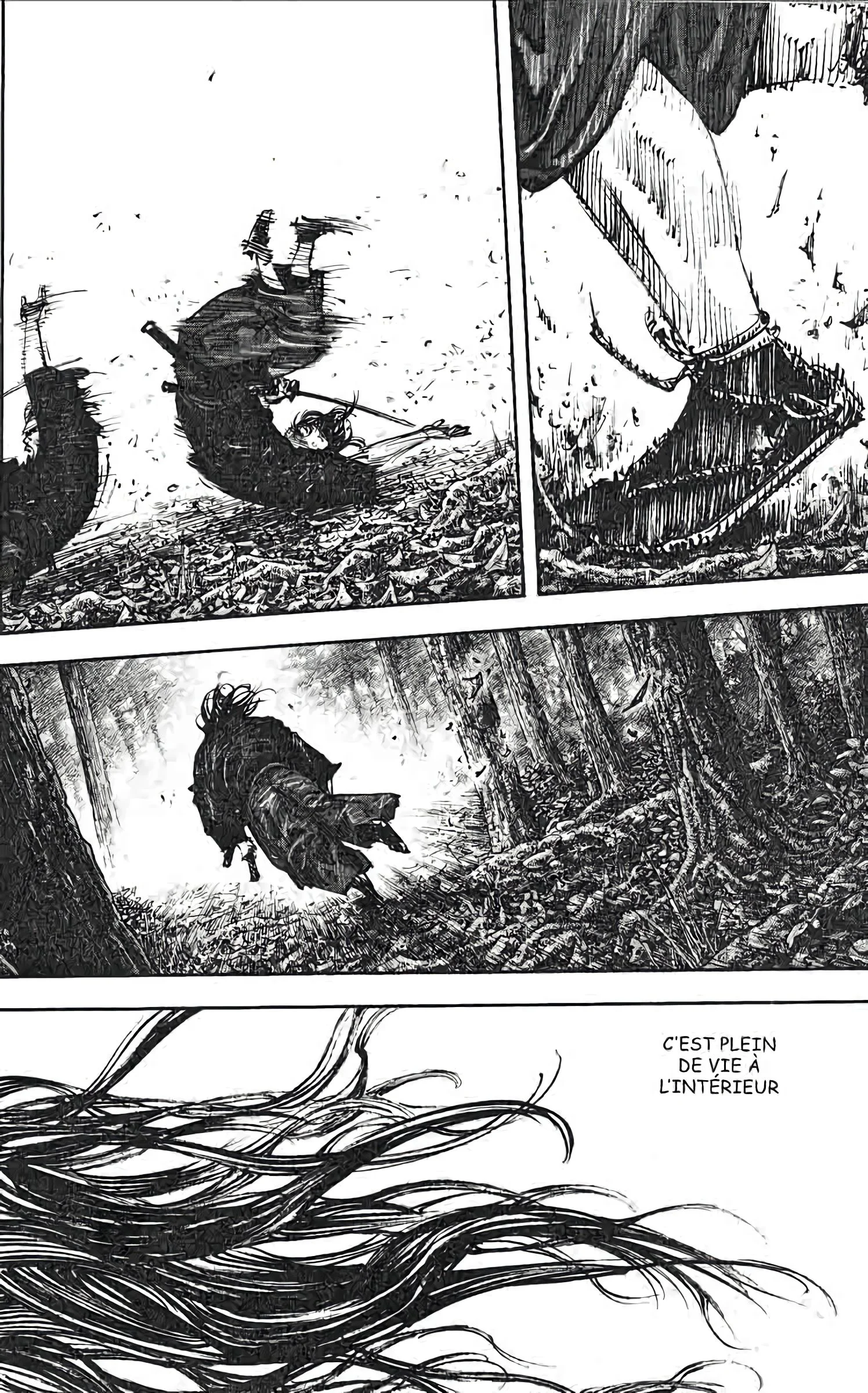 Chapter Image 260