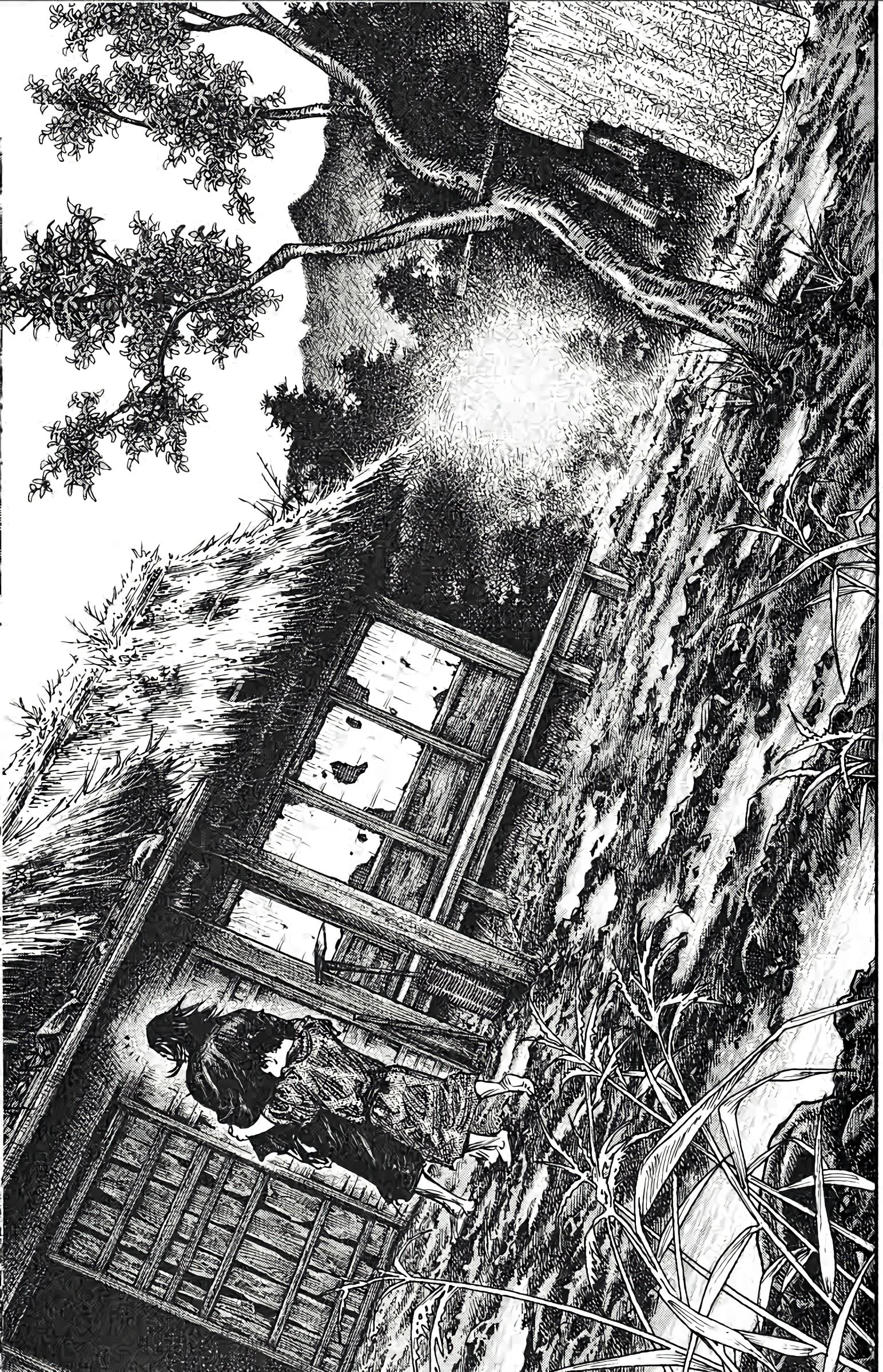 Chapter Image 260
