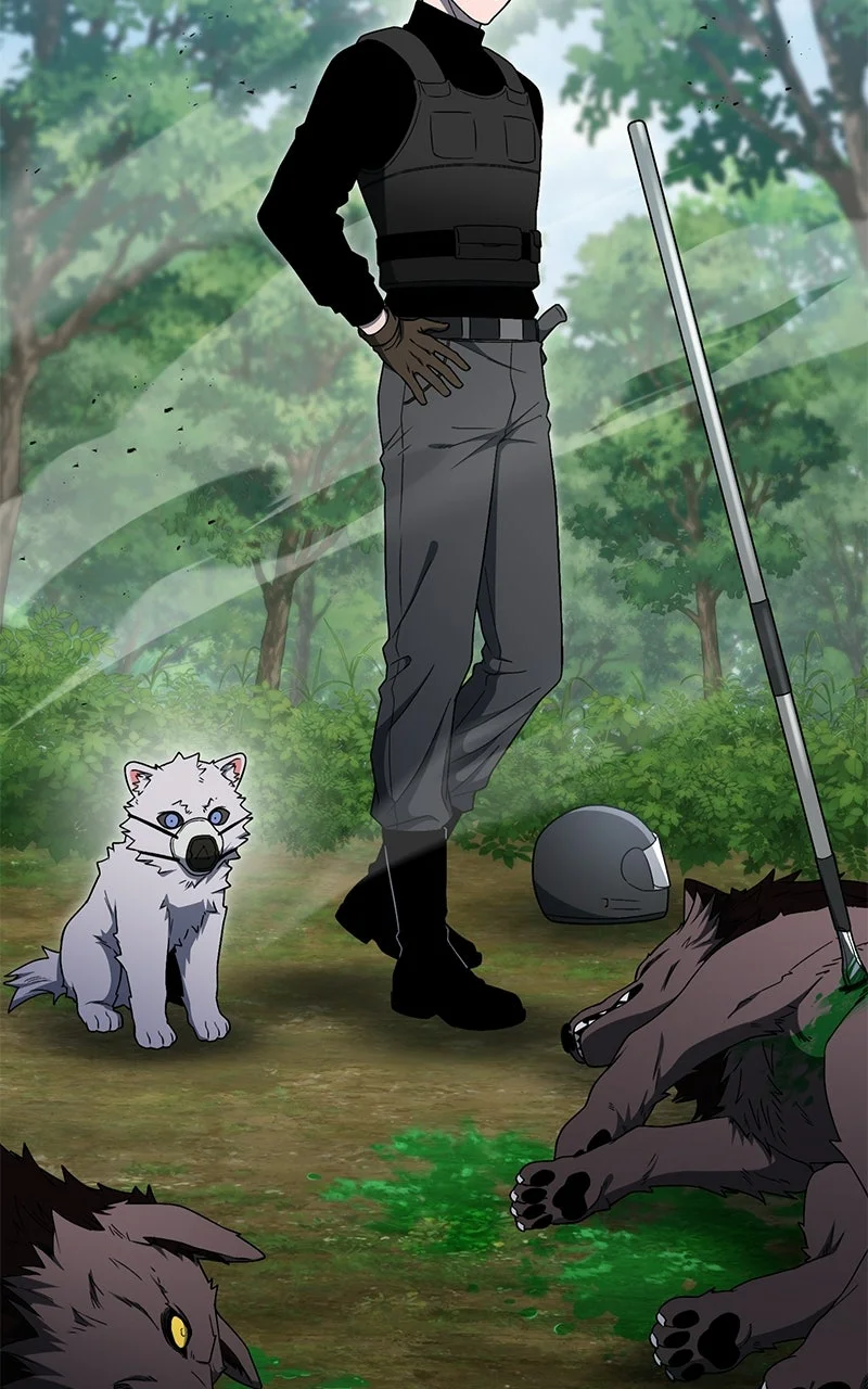Chapter Image 334