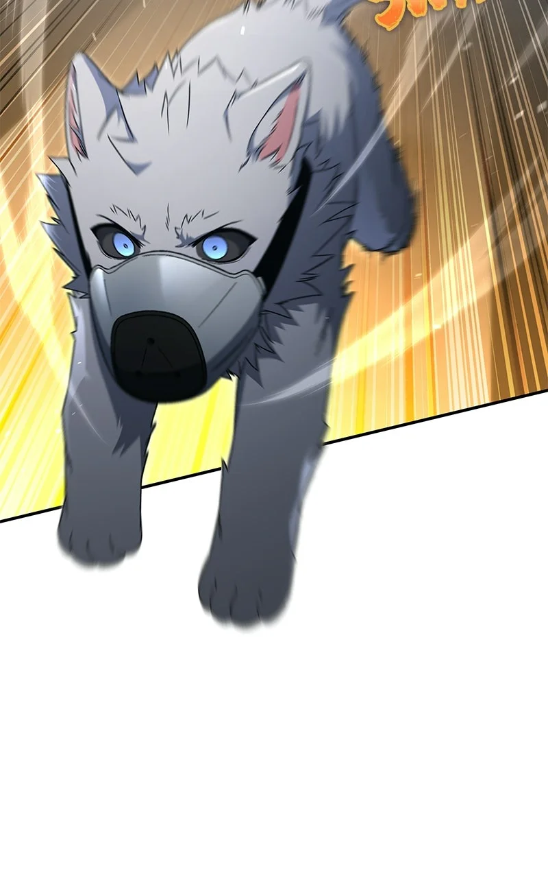 Chapter Image 75
