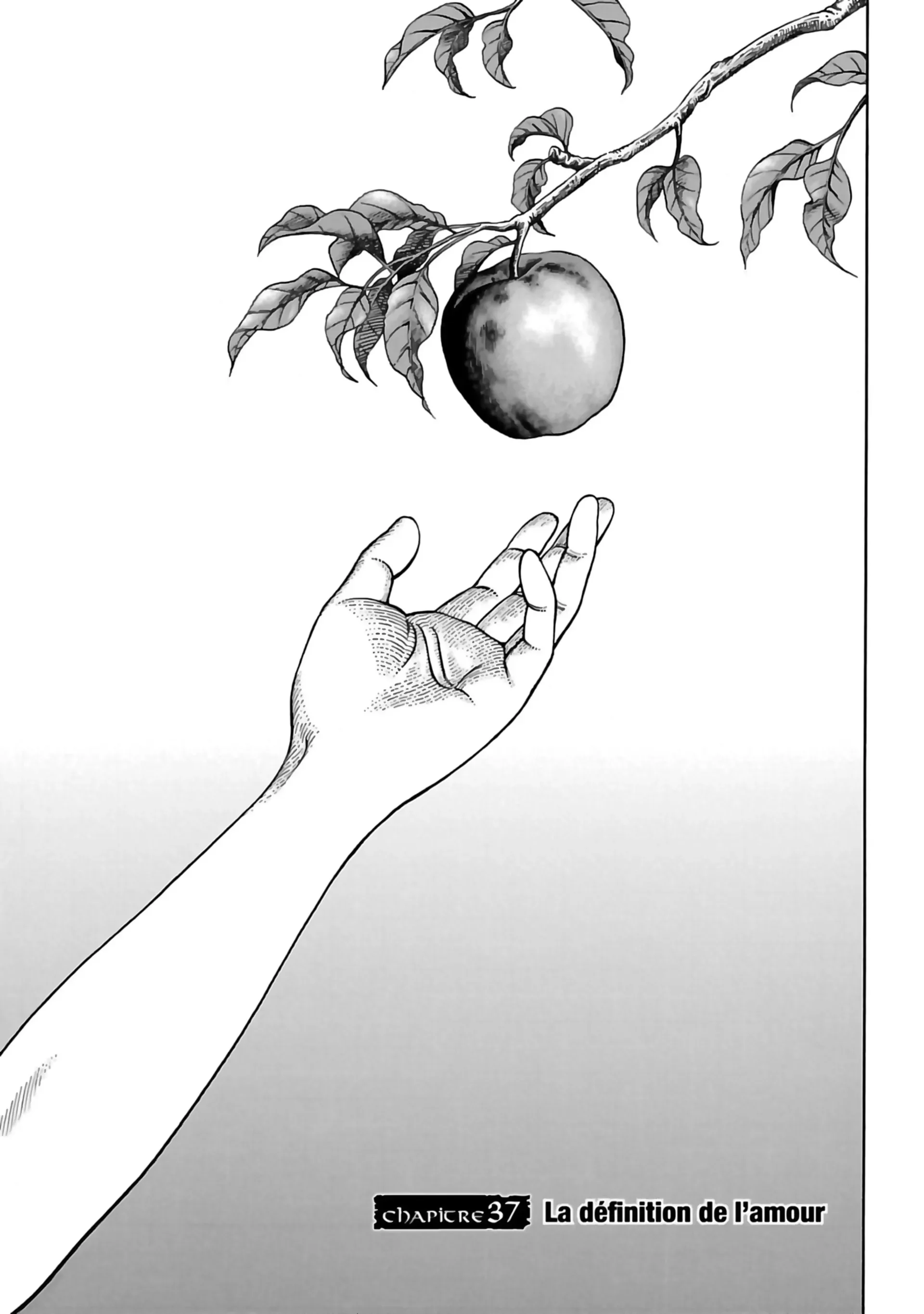 Chapter Image 186