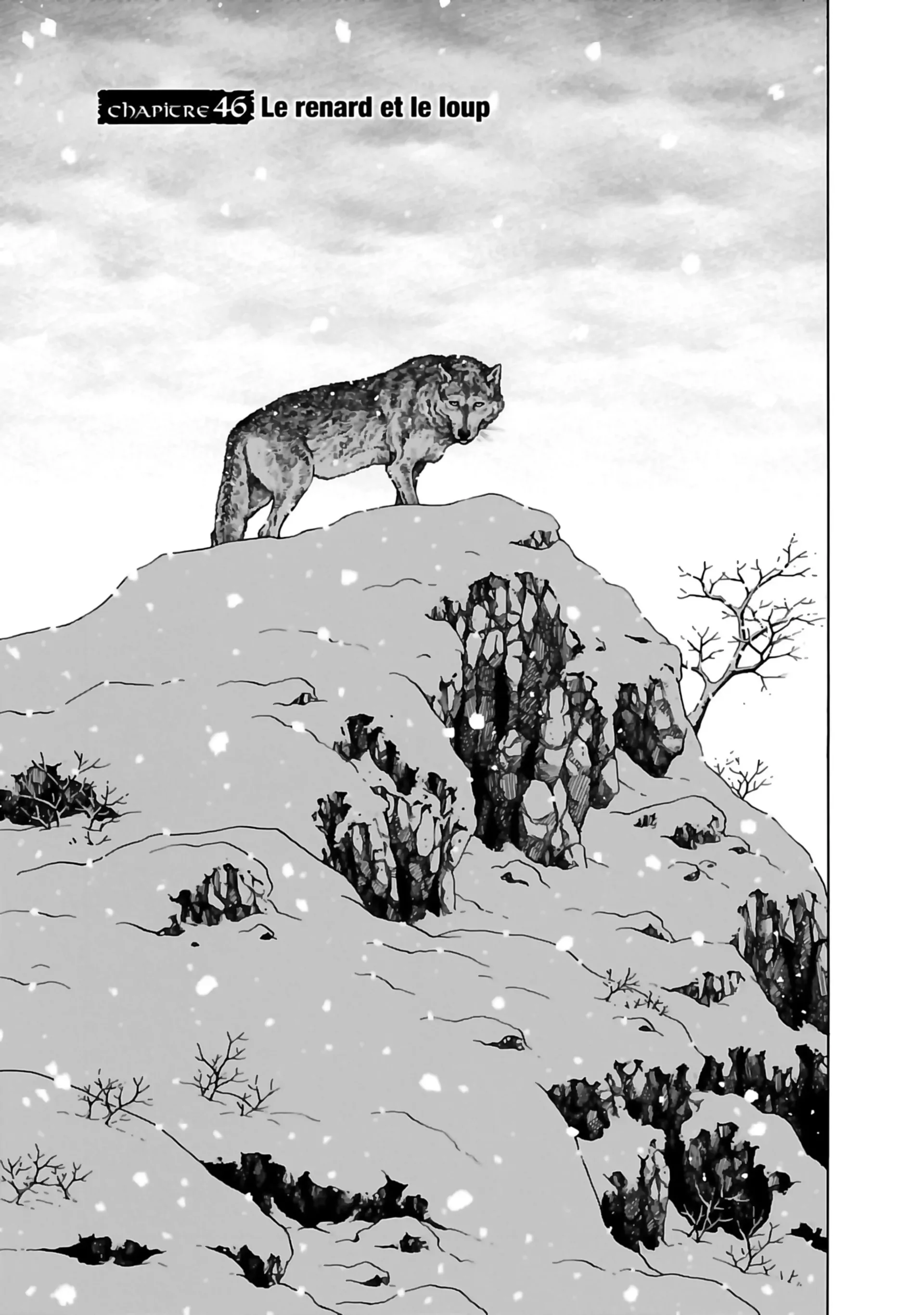 Chapter Image 704